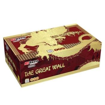 207 - The great Wall (I, V, W, Z)